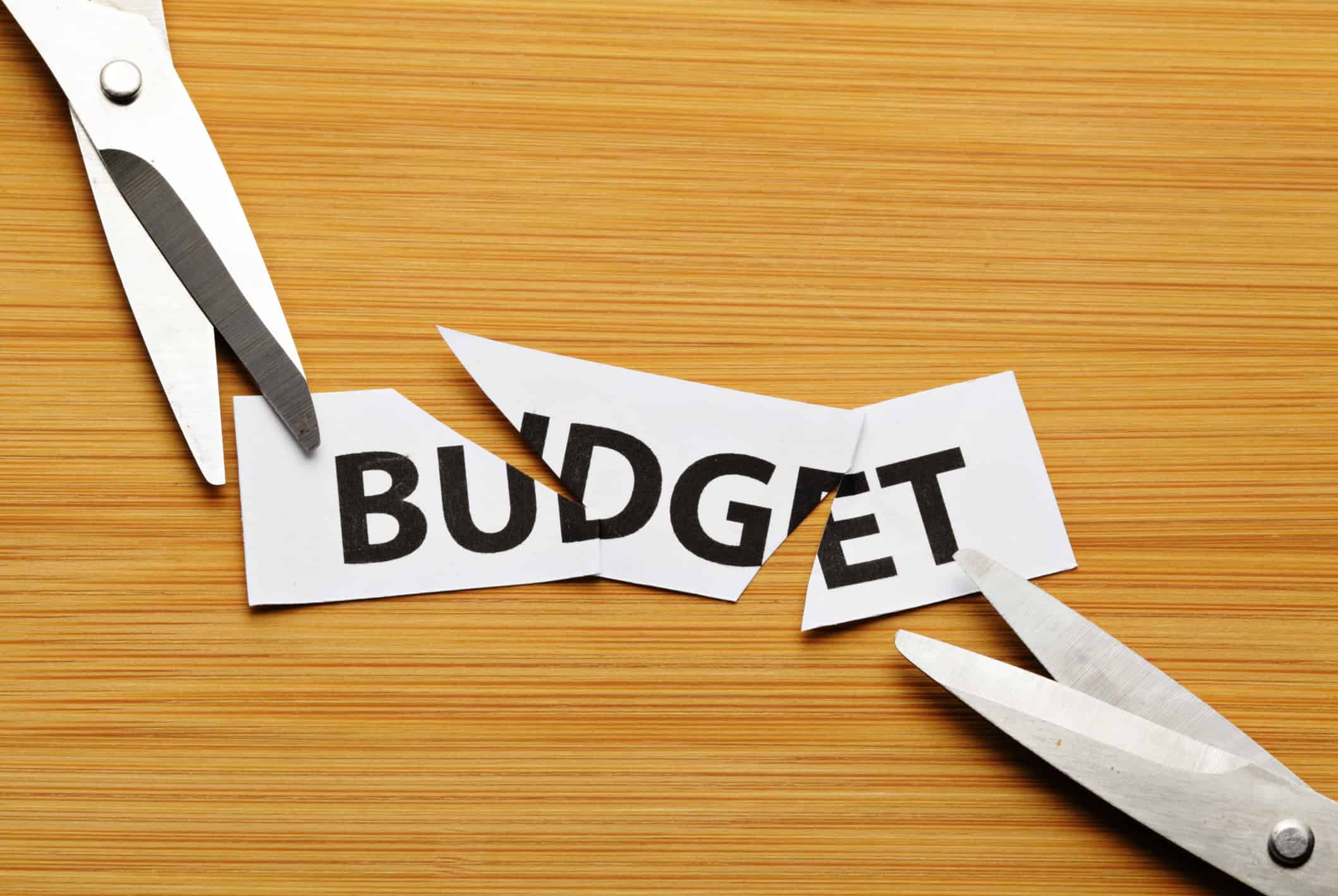 How does IT support services cut your monthly budget