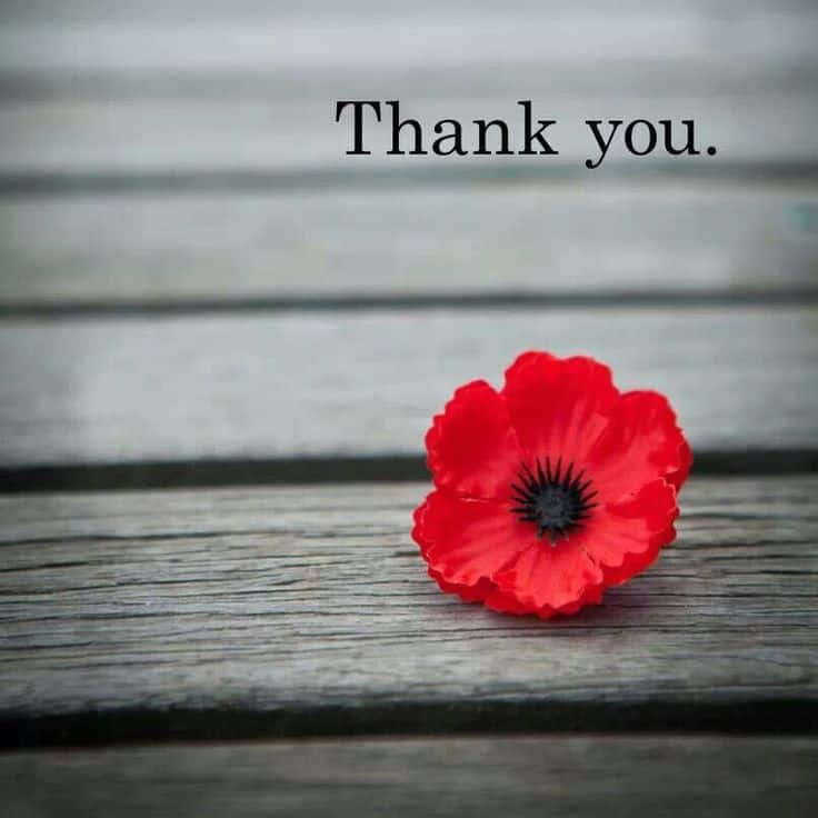 Thank You on Remembrance Day