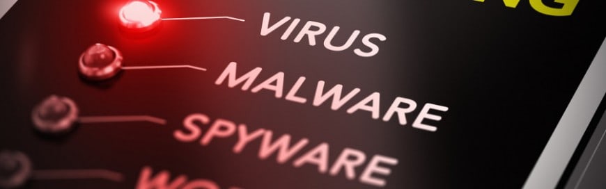 What are the different types and risks of malware